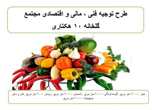 3 نمونه طرح توجیهی احداث مجتمع گلخانه تولیدی سبزیجات | PDF