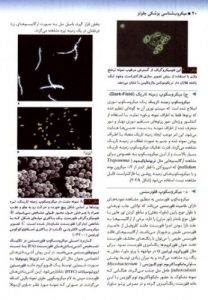 Pdf کتاب میکروب شناسی پزشکی جاوتز فارسی
