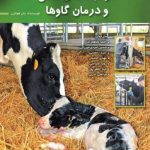کتاب دوره خشکی، مراقبت های خاص و درمان گاوها | Pdf | کاملا رنگی