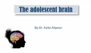 The adolescent brain