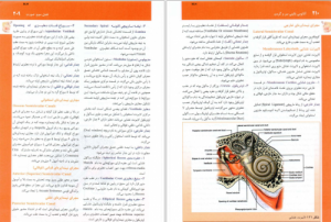 دانلود آناتومی سر و گردن دکتر محمد اکبری 39 صفحه رنگی