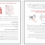 دانلود چهار مبحث غدد تنفس گوارش گردش خون از استاد راد احمدی و چوپانی و پزشکی 254 صفحه رنگی