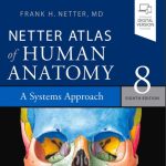 کتاب اطلس آناتومی نتر 2023 | 2314 صفحه