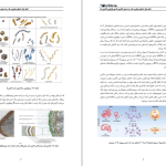 دانلود pdf میکروب شناسی مورای 386 صفحه رنگی