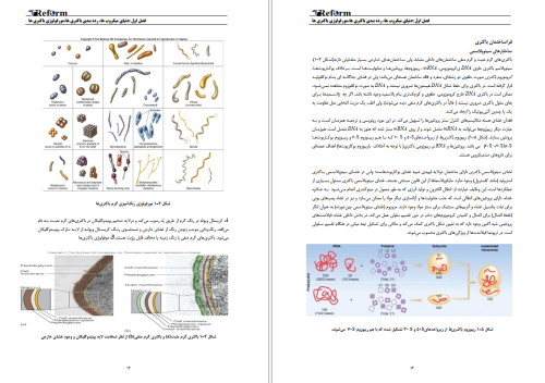 دانلود pdf میکروب شناسی مورای 386 صفحه رنگی