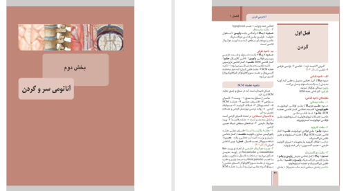 دانلود کتاب آناتومی سر و گردن GBS رنگی 146 صفحه